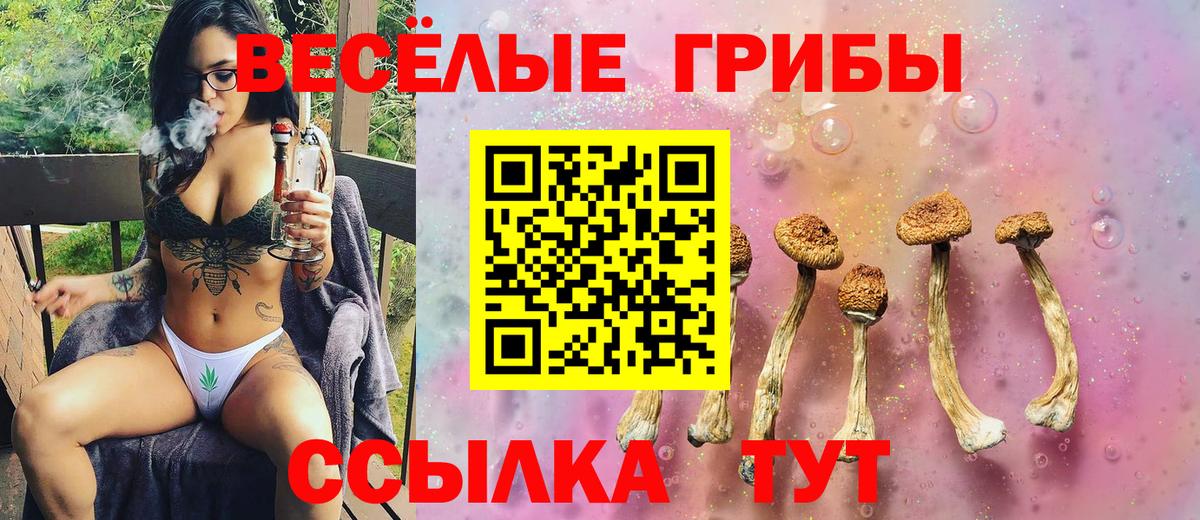 Галлюциногенные грибы Psilocybine cubensis Костомукша
