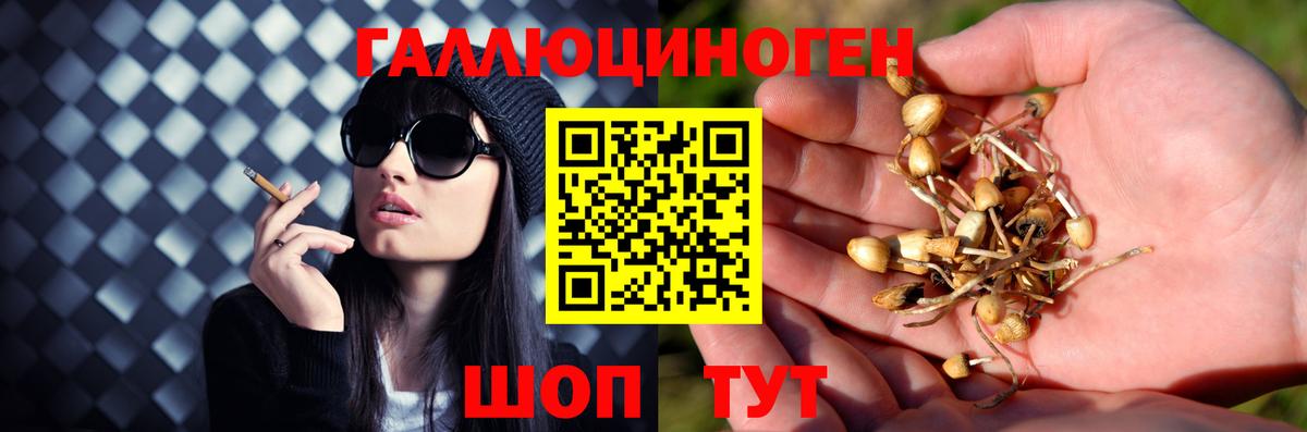 как найти   Галлюциногенные грибы мухоморы  Костомукша  Вход с VPN  Псилоцибиновые грибы MAGIC MUSHROOMS 